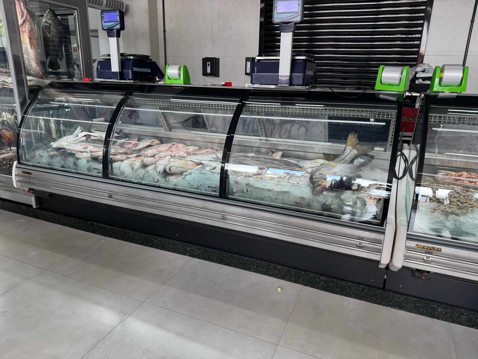 whatsapp-image-2025-02-24-at-08-18-11-2