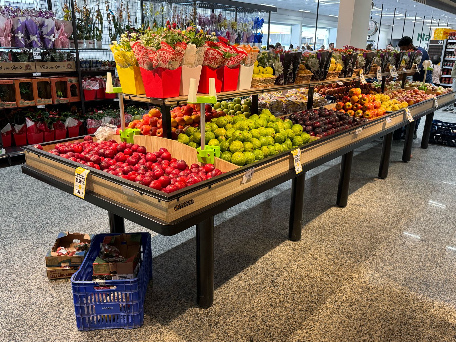 whatsapp-image-2025-02-24-at-14-00-20